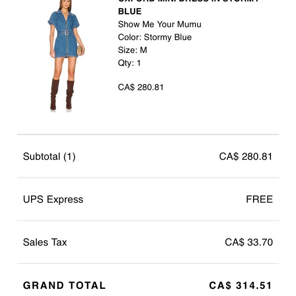 Brand new Show me your MUMU denim dress from Revolve - Picture 3 of 3